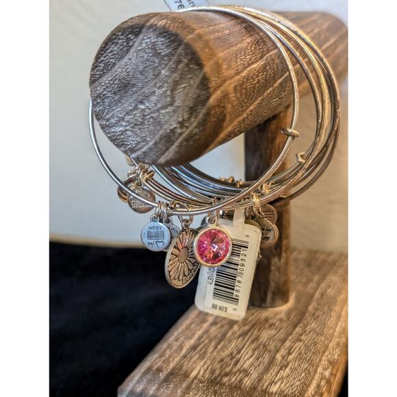 Eleven Alex and Ani Silver Tone Flex Wire Bangle Bracelet Lot - Picture 4 of 10